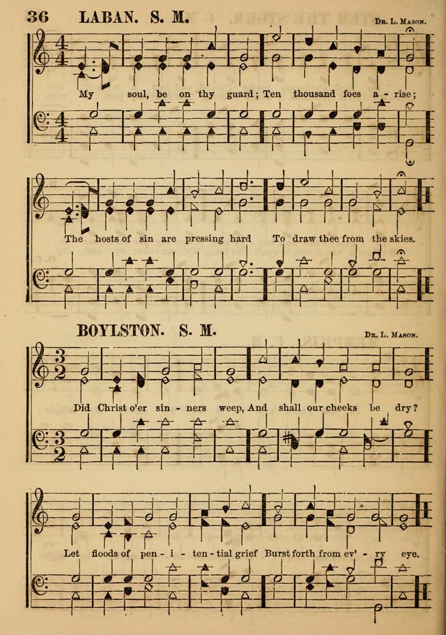 The Little Seraph: in seven character notes, for churches and Sunday-schools page 36